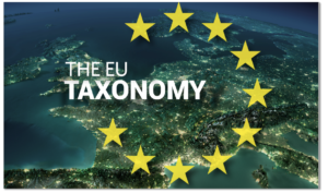 EU Taxonomy mean for large companies