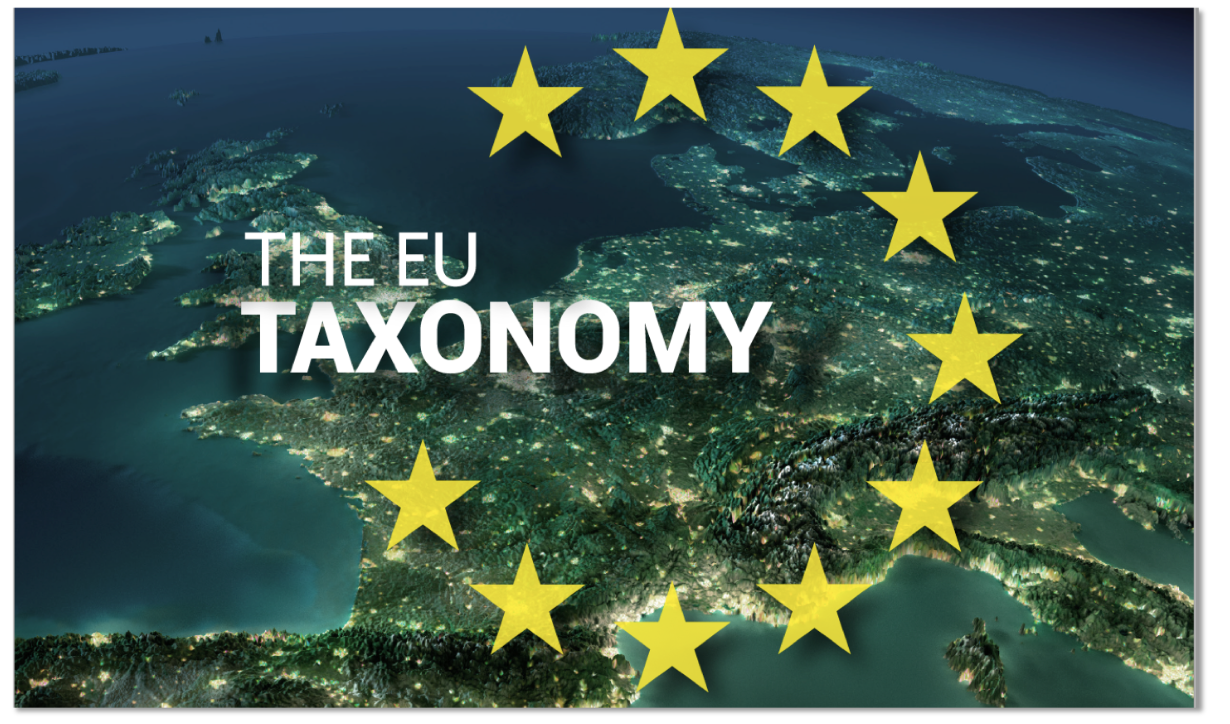 what-does-the-eu-taxonomy-mean-for-large-companies